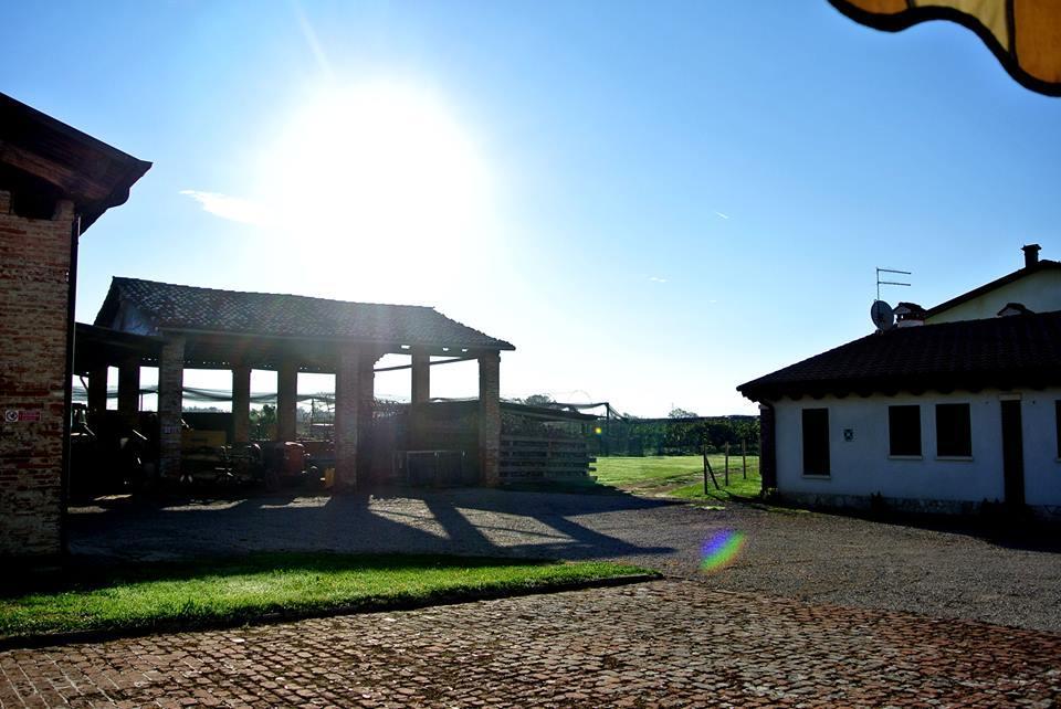 Agriturismo Sartori Terenzio Quinto Vicentino Exterior foto